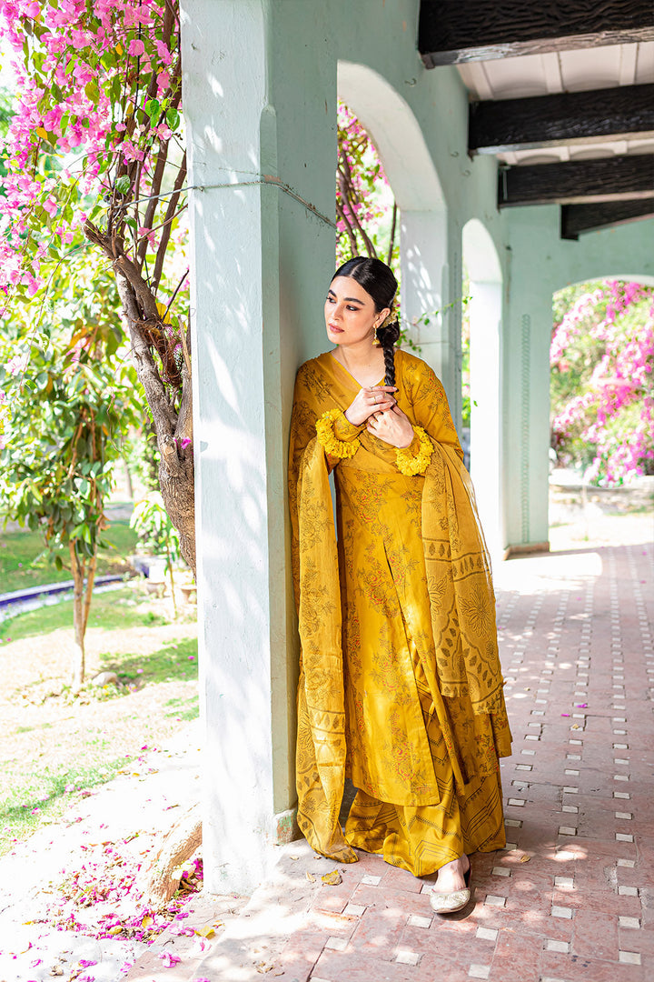 Nargis