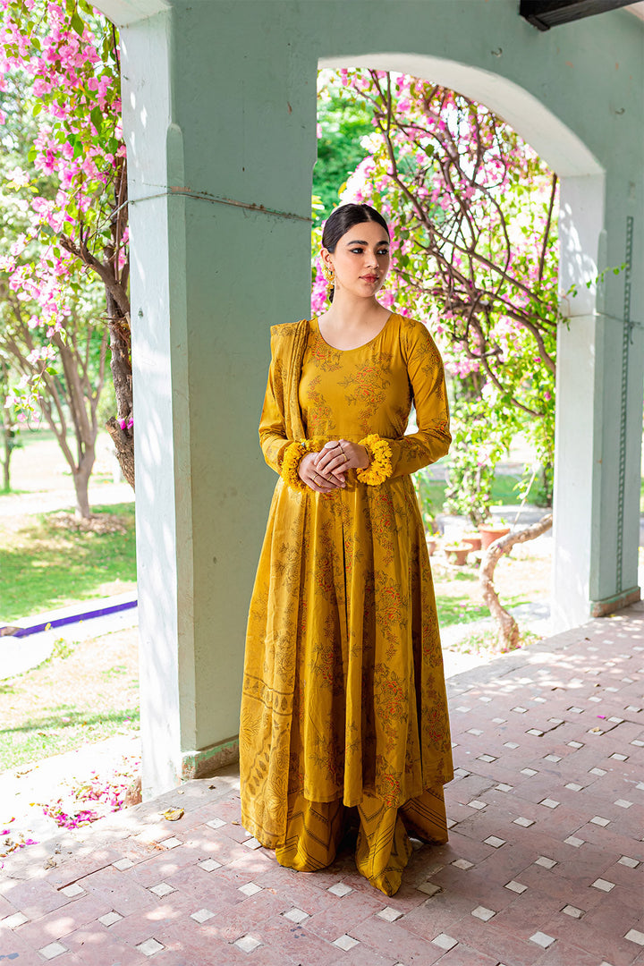 Nargis