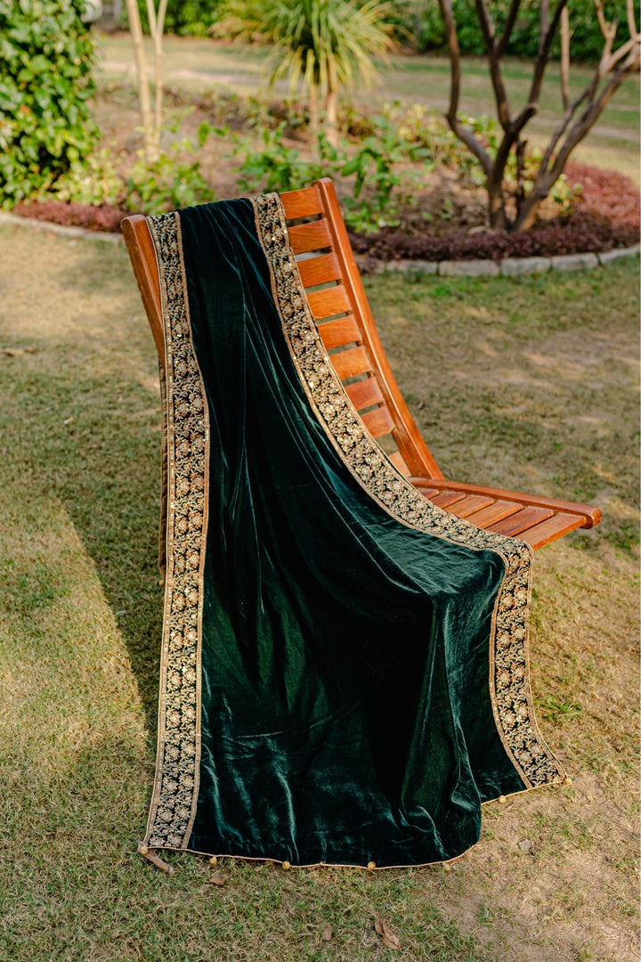 Green Embroidered Shawl